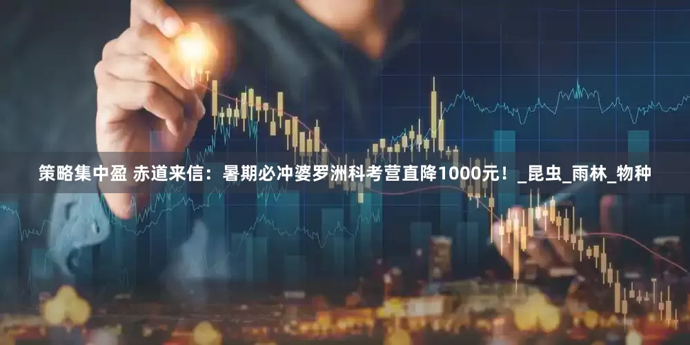 策略集中盈 赤道来信：暑期必冲婆罗洲科考营直降1000元！_昆虫_雨林_物种