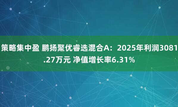 策略集中盈 鹏扬聚优睿选混合A：2025年利润3081.27万元 净值增长率6.31%