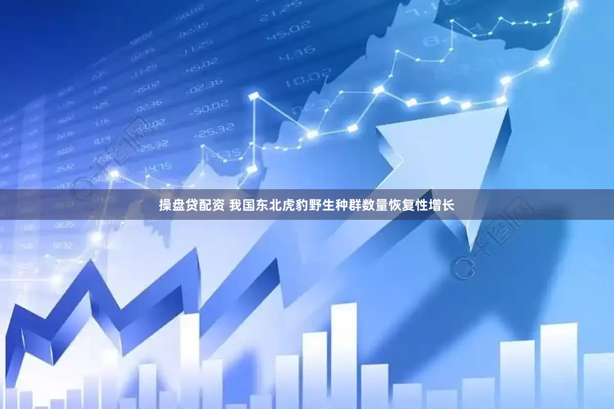 操盘贷配资 我国东北虎豹野生种群数量恢复性增长